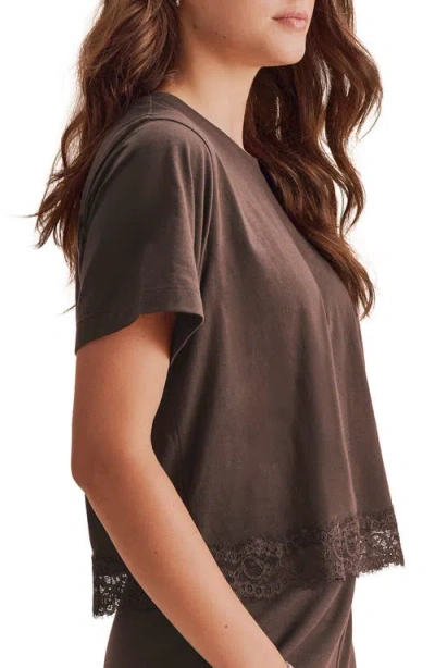 Splendid Lainey Lace Trim Jersey Tee In Java Brown