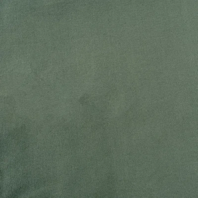 Dii Solid Everyday Cloth Napkin Set/6 In Sage