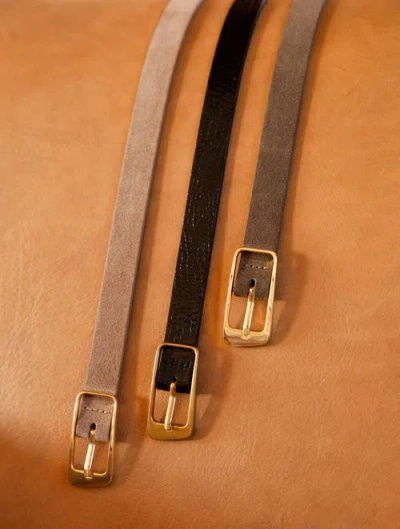 Bobbies Cézembre Belts In Mamba Brown