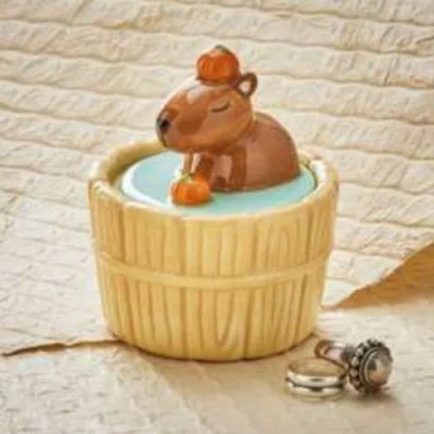 Tag Capybara Lidded Trinket Box Multi Earthenware Everyday In Brown