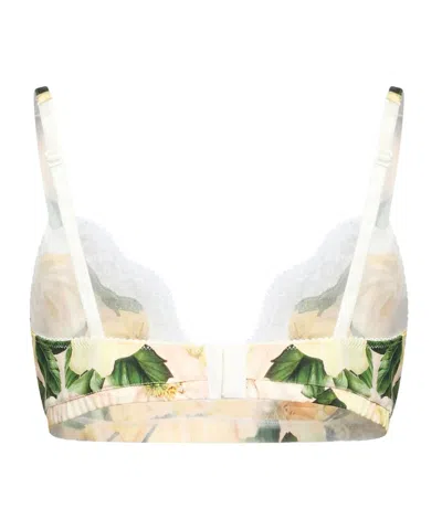 Dolce & Gabbana Floral Triangle Bra In Multi