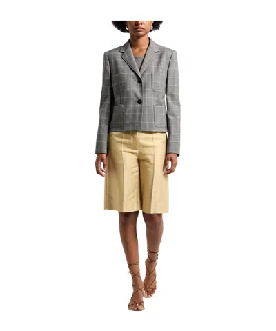 Max Mara Single Breasted Blazer In Grey