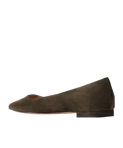Gianvito Rossi Solid Suede Ballet Flats In Black