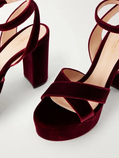 Gianvito Rossi Solid Velvet Sandals In Brown
