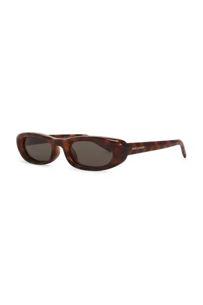 Saint Laurent Plump Rectangular Sunglasses In Havana & Grey