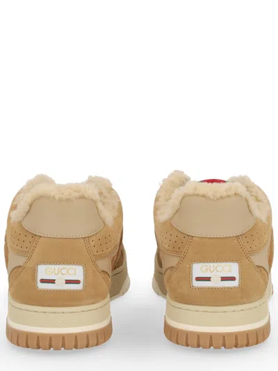 Gucci Re-web Sneaker In Brown