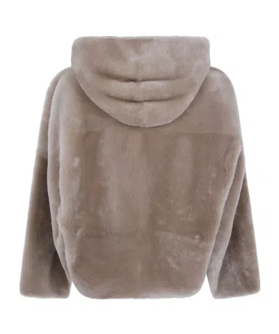 Blancha Long-sleeved Casual Jacket In Brown
