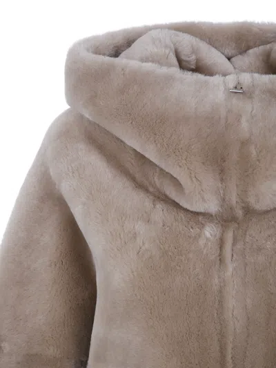 Blancha Long-sleeved Casual Jacket In Brown
