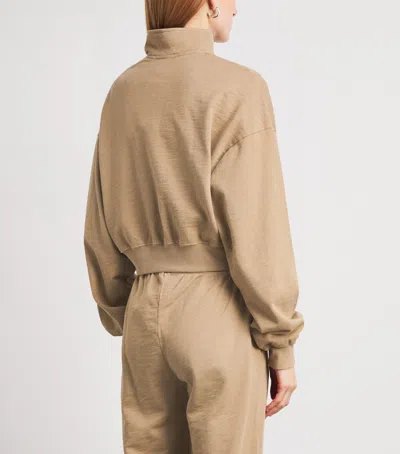Éterne Cropped Half-zip Sweatshirt In Brown