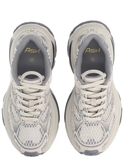 Ash Dragon Sneaker In Gray