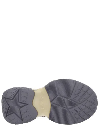 Ash Dragon Sneaker In Gray