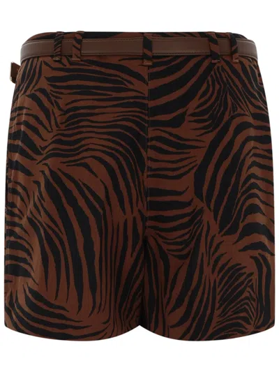 Max Mara Shorts In Brown