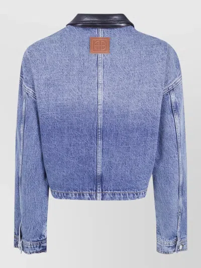 Anine Bing Denim Jacket