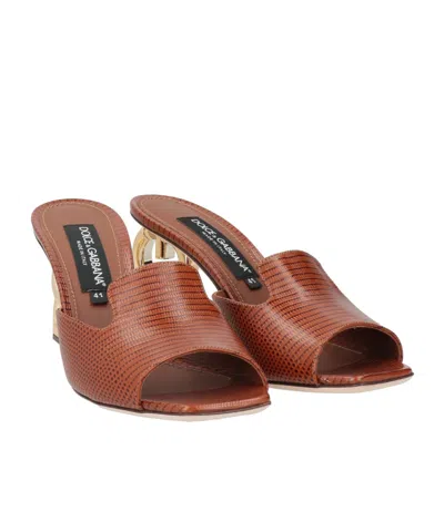 Dolce & Gabbana Solid Color Sandals In Brown