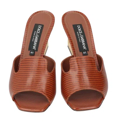 Dolce & Gabbana Solid Color Sandals In Brown