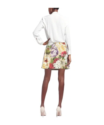 Dolce & Gabbana Mini Skirts In Multi