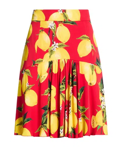 Dolce & Gabbana Mini Skirts In Multi