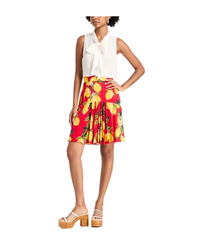 Dolce & Gabbana Mini Skirts In Multi