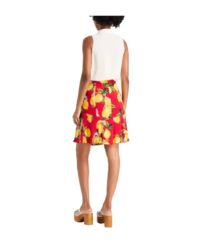Dolce & Gabbana Mini Skirts In Multi