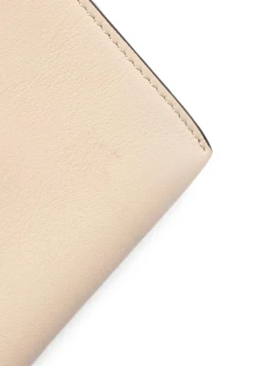 Pre-owned Celine 2010s Medium Frame Shoulder Bag In Neutrals