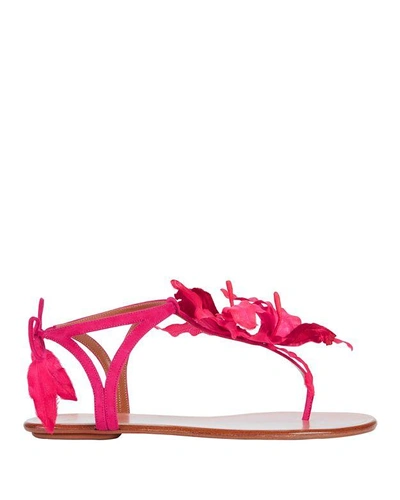 Shop Aquazzura Flora Pink Suede Thong Sandals