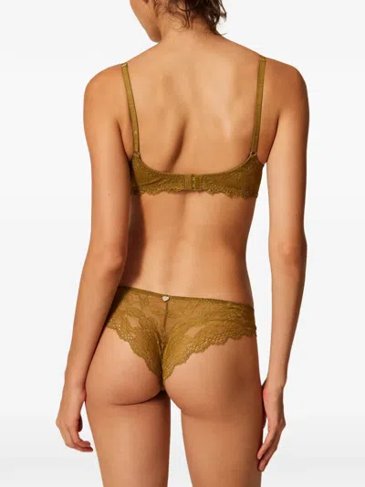 Twinset Underwired Lace Bra In Green