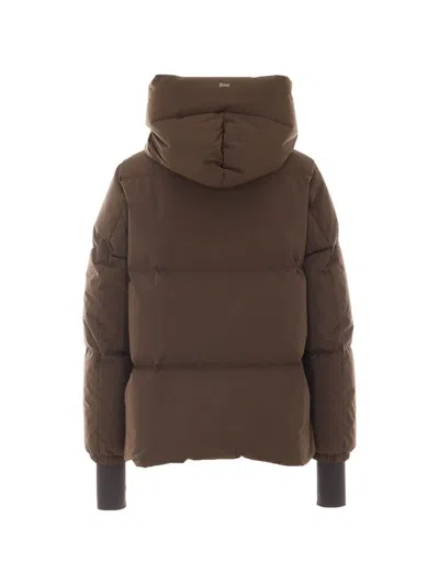 Herno Down Jacket With Hood In Brown