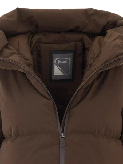 Herno Down Jacket With Hood In Brown