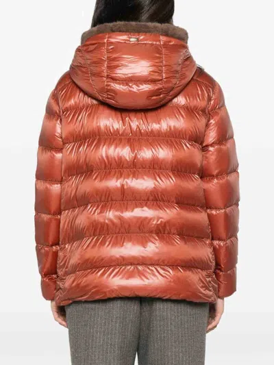 Herno Quilted Down Jacket In Brown