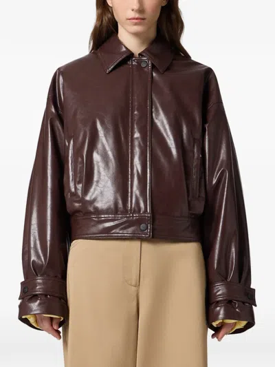 Msgm Logo-patch Cropped Jacket In Brown
