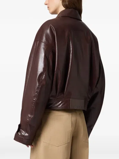 Msgm Logo-patch Cropped Jacket In Brown