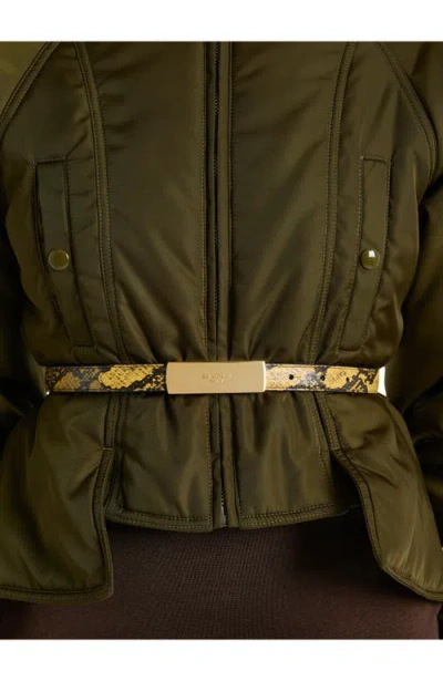 Balmain Belt In Yellow