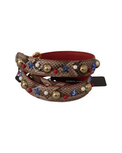 Dolce & Gabbana Python Shoulder Bag Strap In Brown