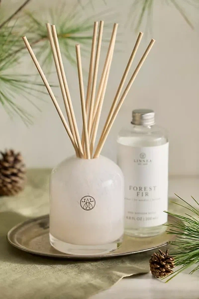 Linnea Diffuser, Forest Fir In Multi