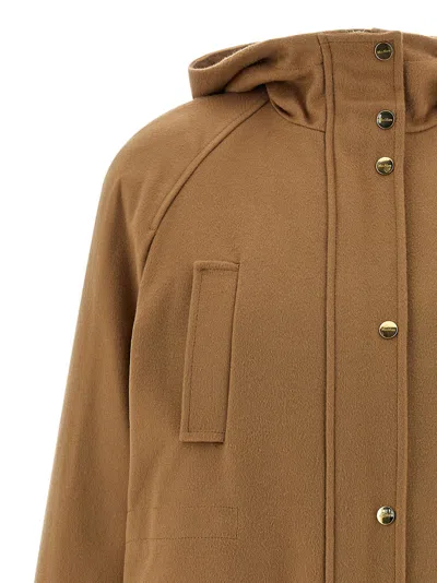 Max Mara Studio Coat In Camel