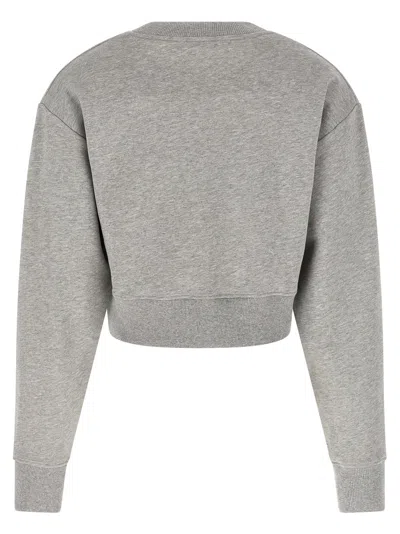 Balmain Paris Sweatshirt In Gray