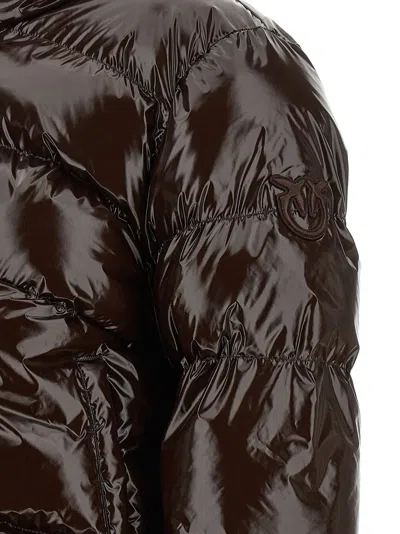 Pinko Down Jacket In Brown