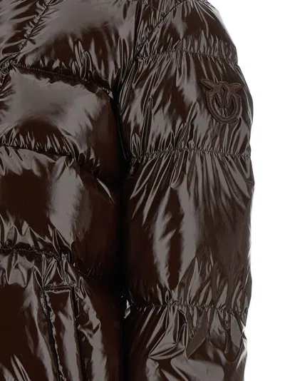 Pinko Eleodoro Down Jacket In Black