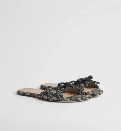 Dior E26 Mule In Multi
