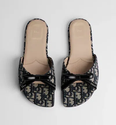 Dior E26 Mule In Multi