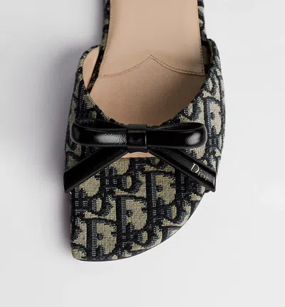 Dior E26 Mule In Multi
