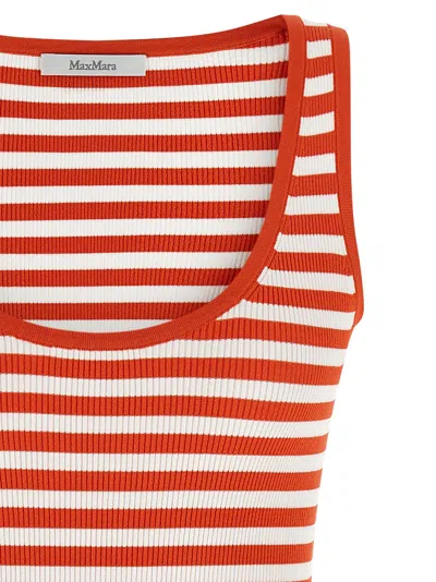 Max Mara Coral Striped Rib Tank Top In Multi