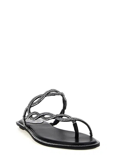 René Caovilla Rene Caovilla Black Flat Braid Sandal 10 In Red