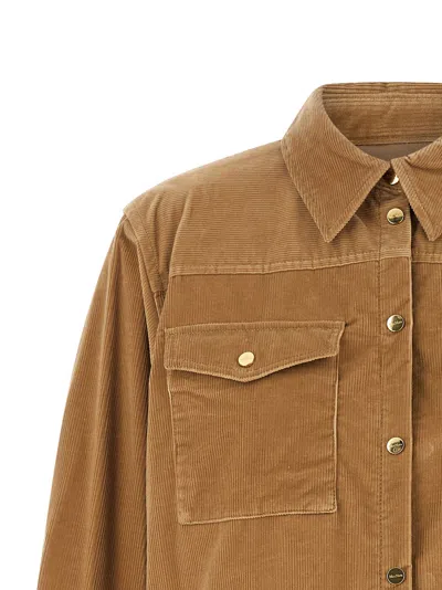 Max Mara Studio Overshirt In Camel