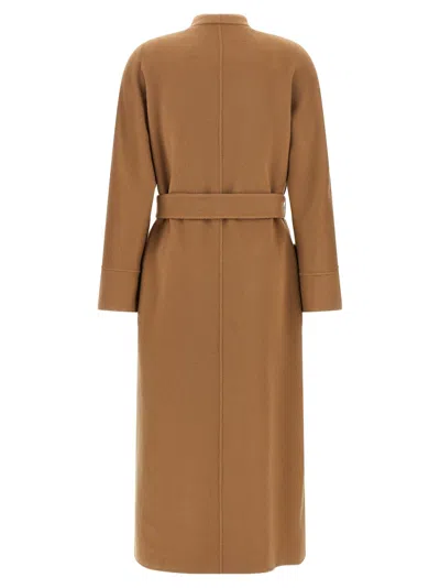 Max Mara Studio Coat In Camel