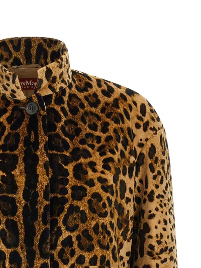 Max Mara Studio Jacket In Brown