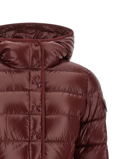 Moncler Barante Down Jacket In Burgundy