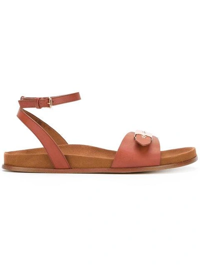 Shop Stella Mccartney Linda Sandals