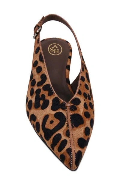 Ash Vera Slingback Pump In Brown Multi