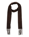 Dsquared2 Oblong Scarves In Dark Brown